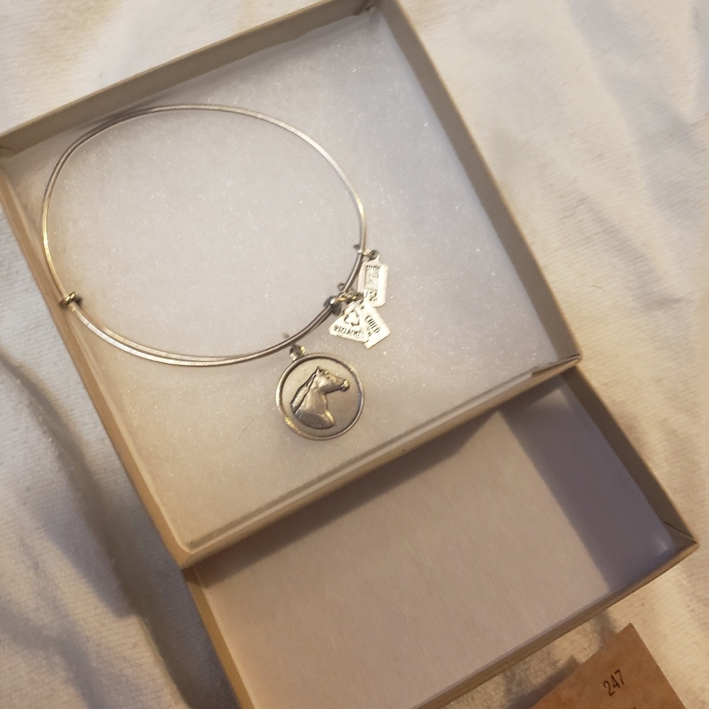 Wind & Fire Horse Head Charm Bangle Bracelet